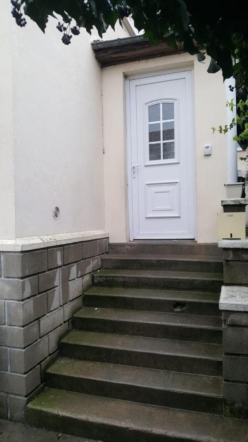 Grand Appartement Avec Terrasse & Jardin A 5 Minutes De Paris Cachan Luaran gambar